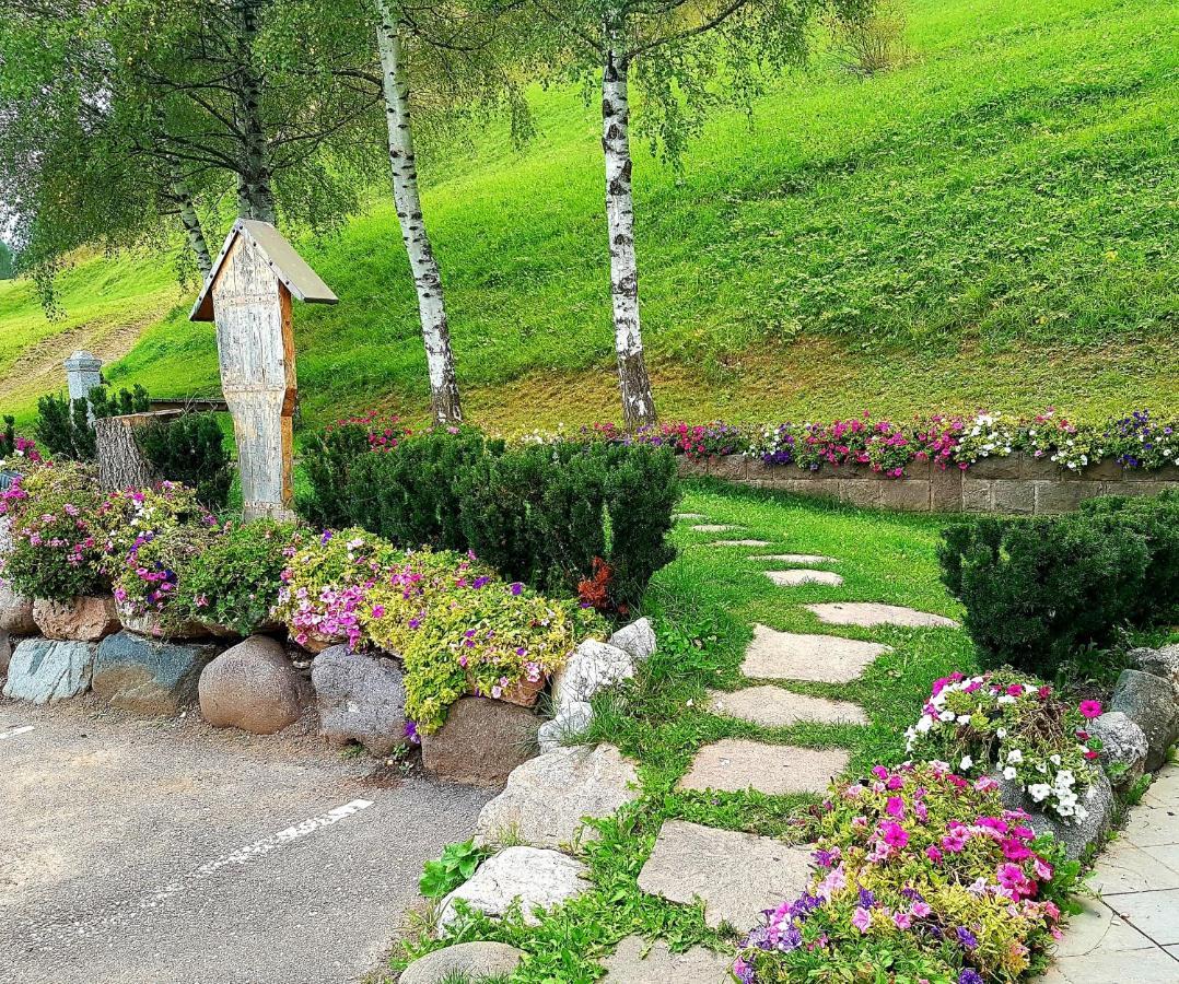 Ciasa Alpina Relax Hotel Moena Exterior photo